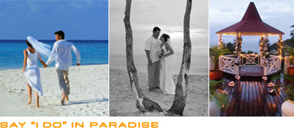 Say 'I do' in Paradise