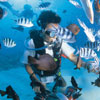 Caribbean Adventure